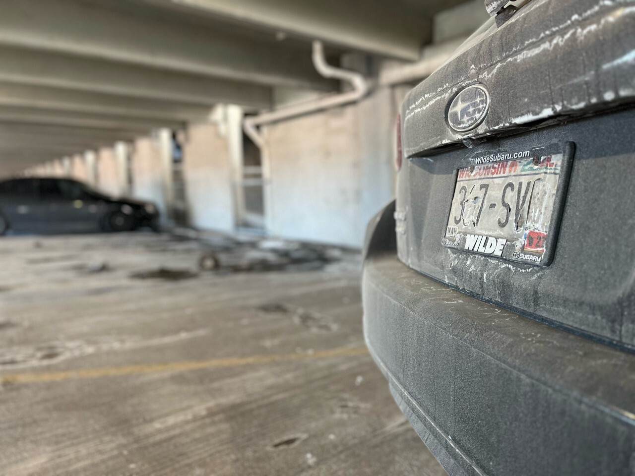 License Plate thumbnail