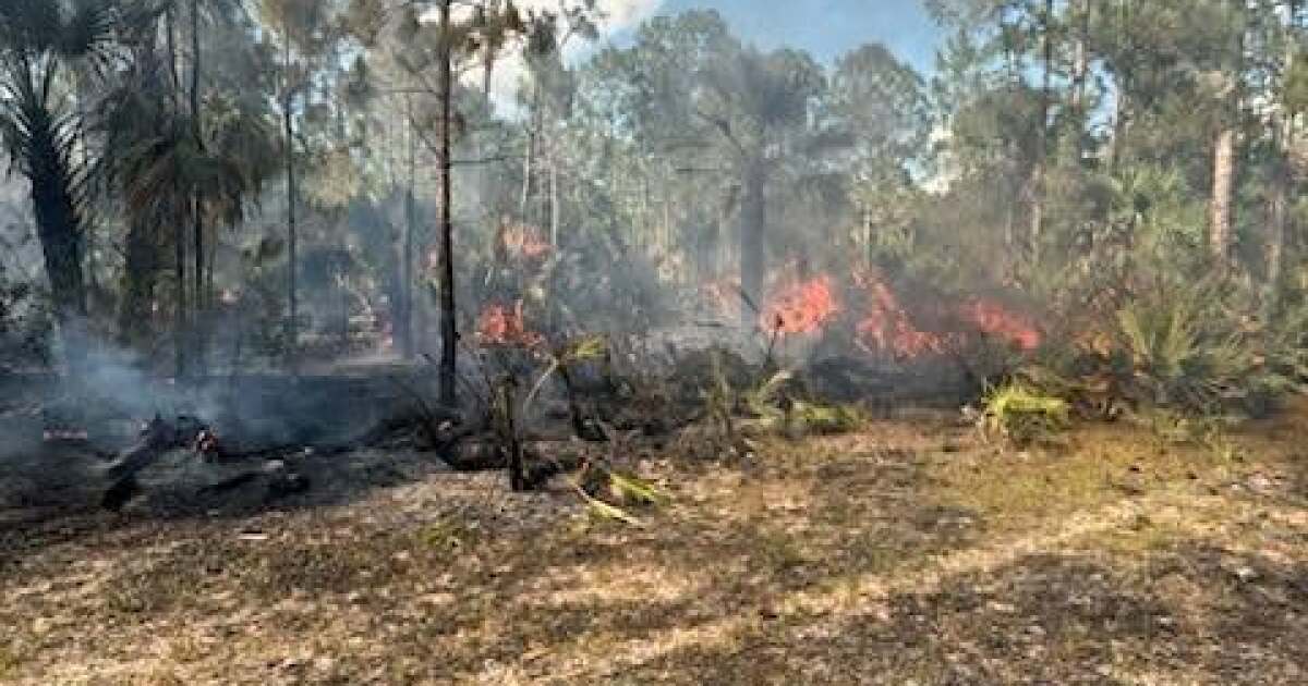 Indiantown brush fire grows to 125 acres over weekend, now 99% contained