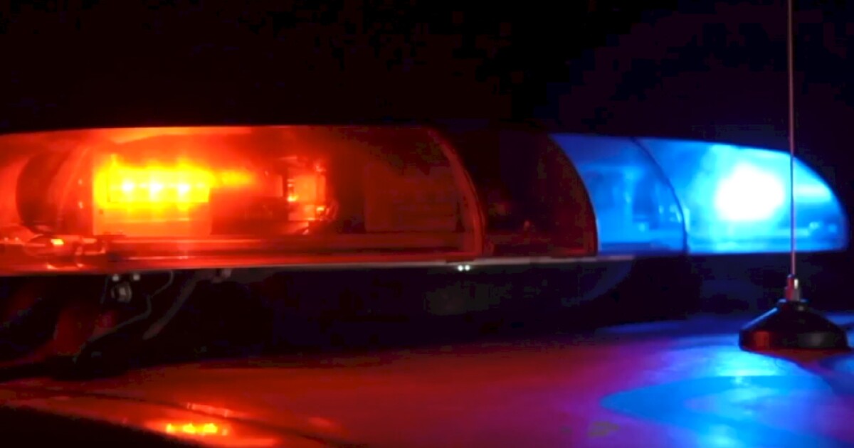 1-year-old hospitalized after dog bites child in face, officials say