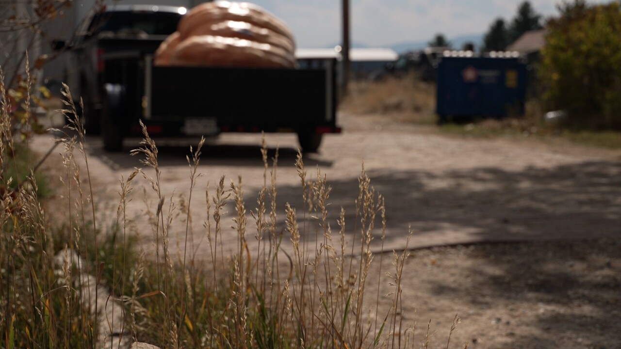 pumkin in driveway.jpg