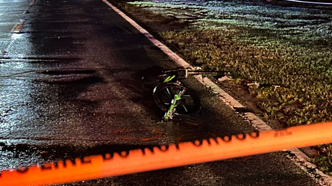 9 year-old killed in hit and run in Polk County, sheriff says