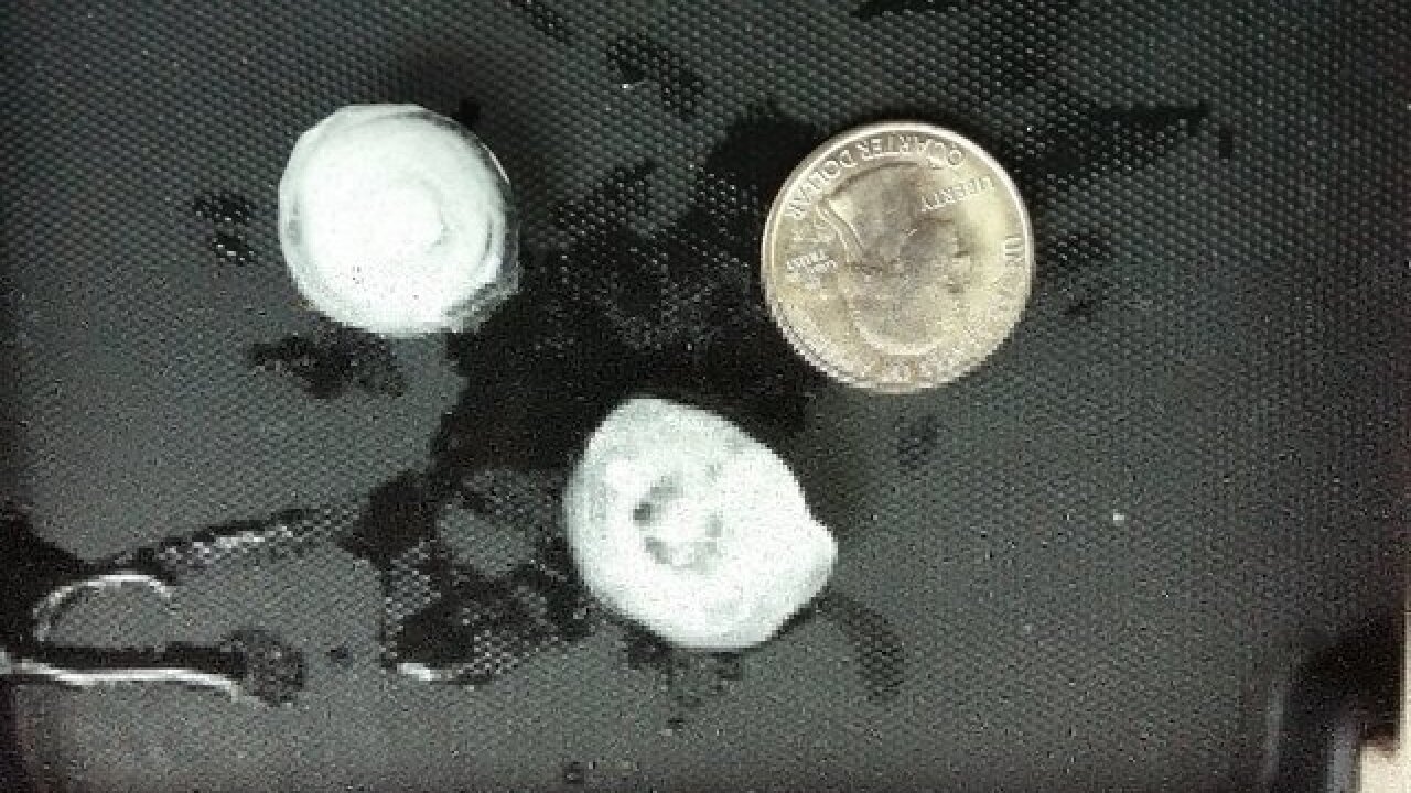 PHOTOS: Quarter-sized hail from April 26 storm