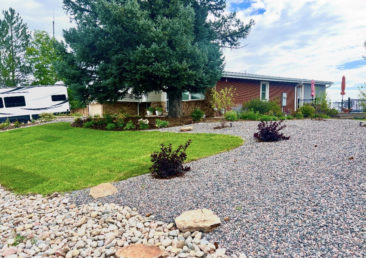 Judith Miller's front lawn after xeriscaping.