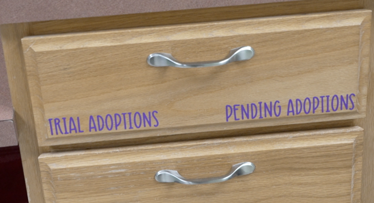 Adoption drawer at Focus on Ferals