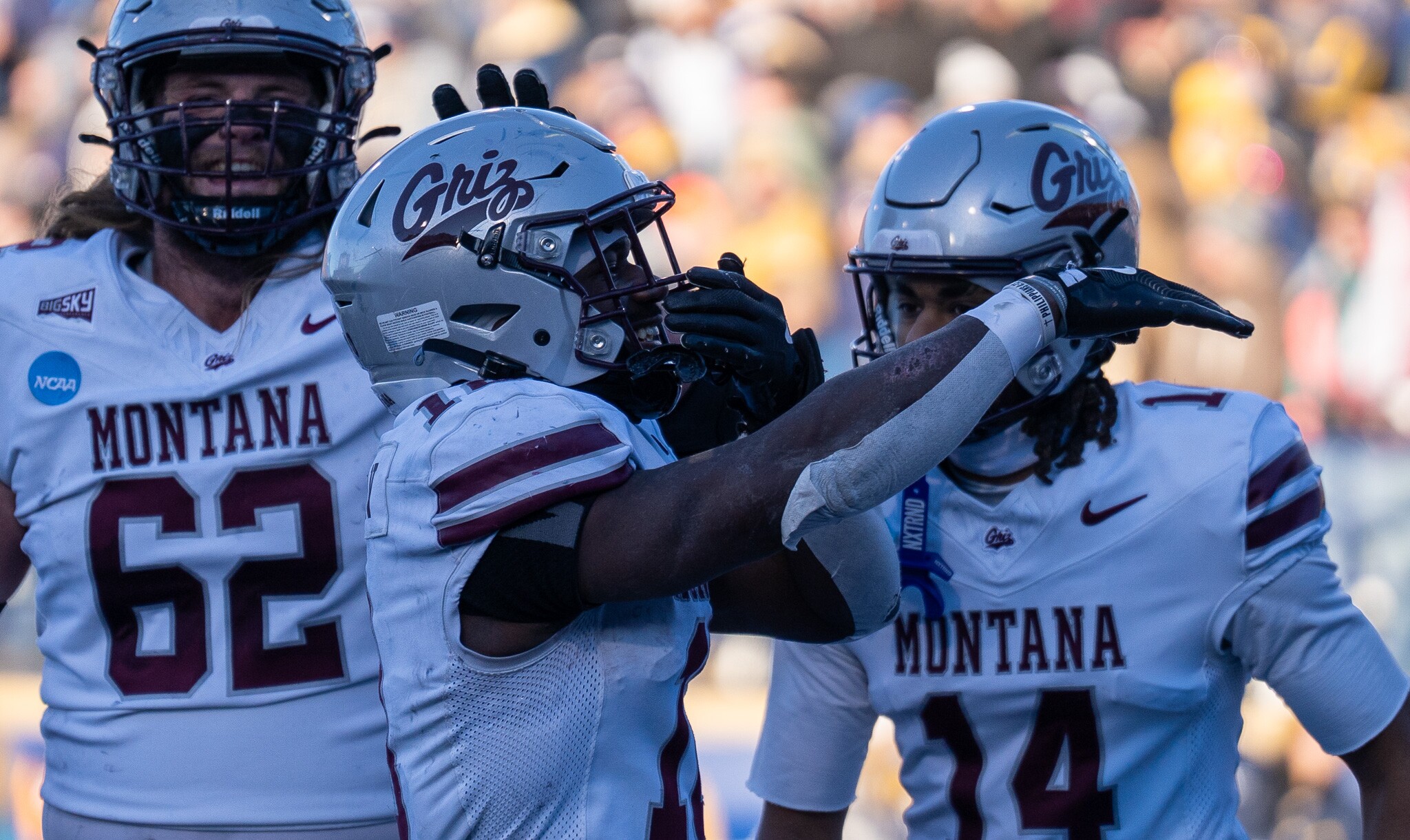 Montana vs. Montana State
