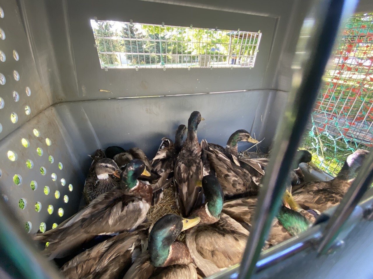 thumbnail_IMG_0529 (1).jpg