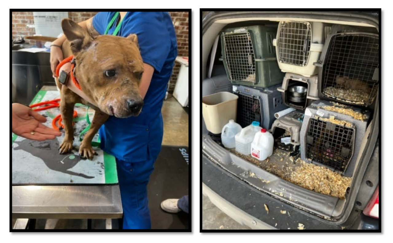 Screen Shot 2024-01-03 at 2.10.09 PM.png