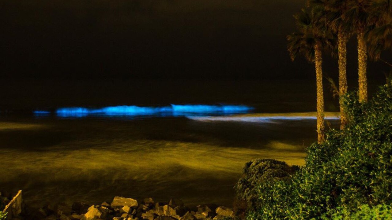 Bioluminescence tide captured along San Diego's coast