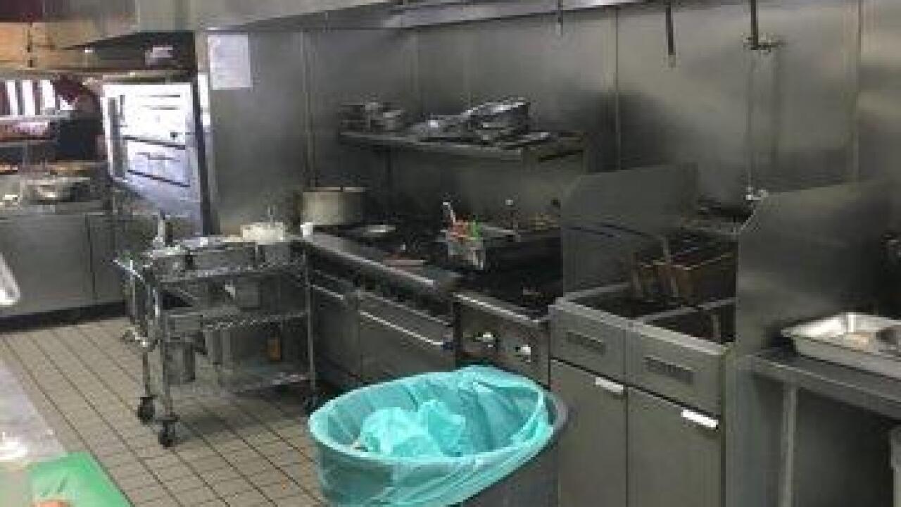 Kitchen Cabinet Waste Bins