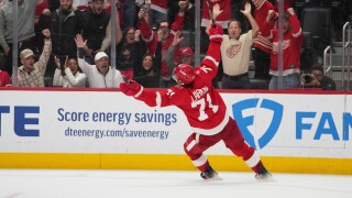 Lightning Red Wings Hockey