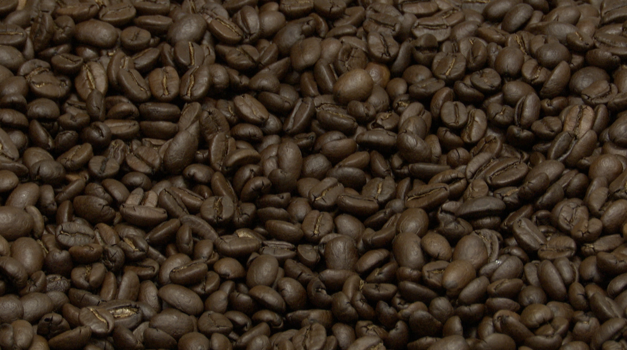 MT Coffee Traders