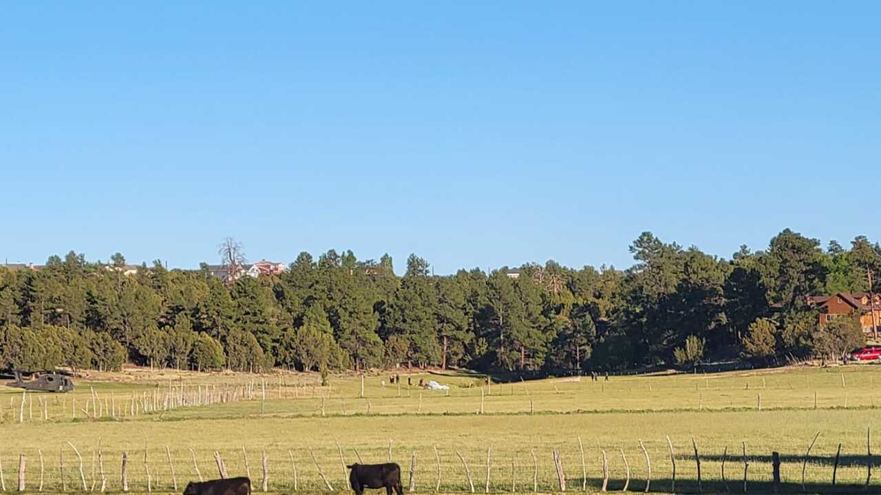 Show Low aircraft crash.jpeg