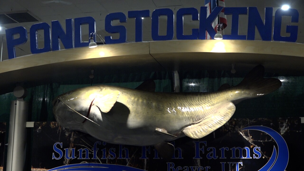 Sunfish Fish Farms came to the show for the first time