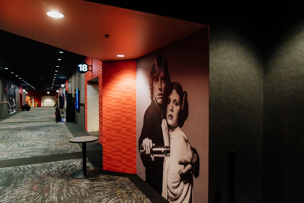 Hallway_StarWars_rvrtwn_remodel-0013.jpg