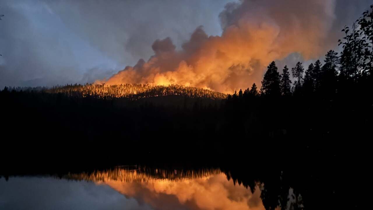 willow fire.jpg