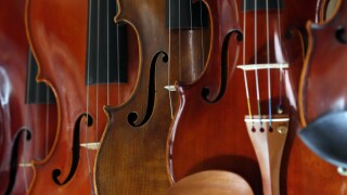 Violins 