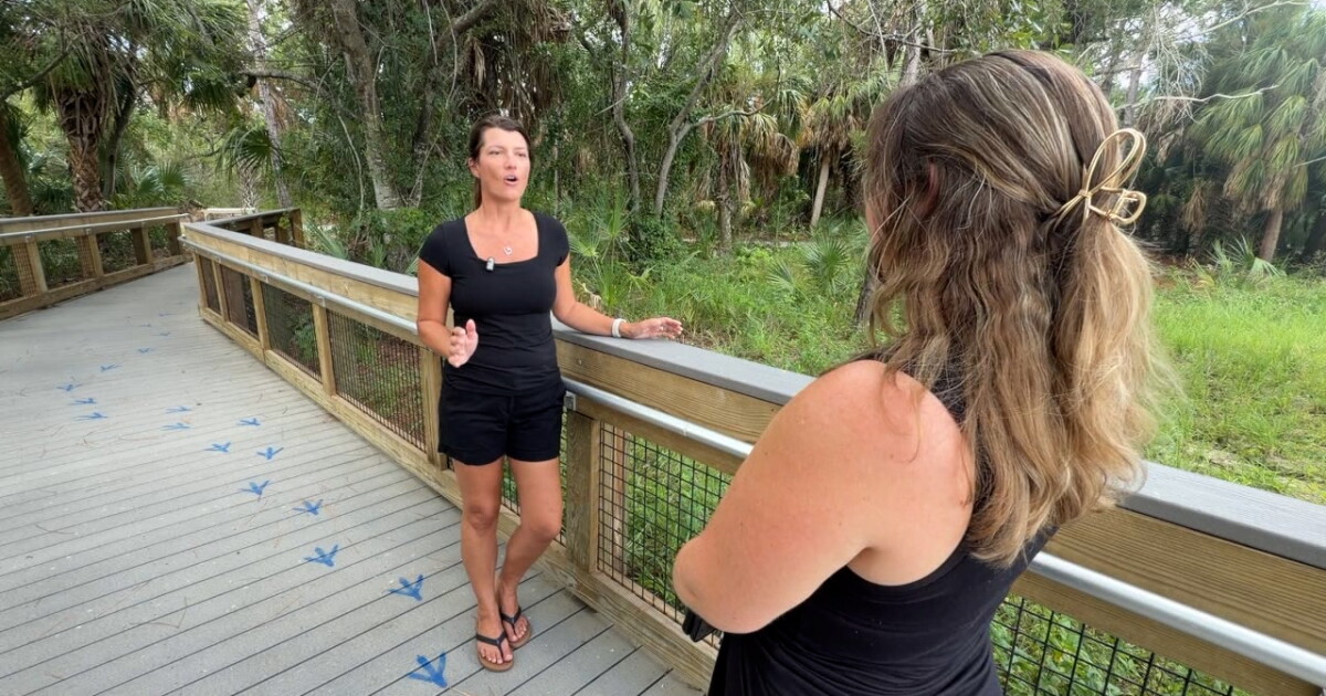 Funding for Pinellas County nature preserves in question ahead of 2027 budget
