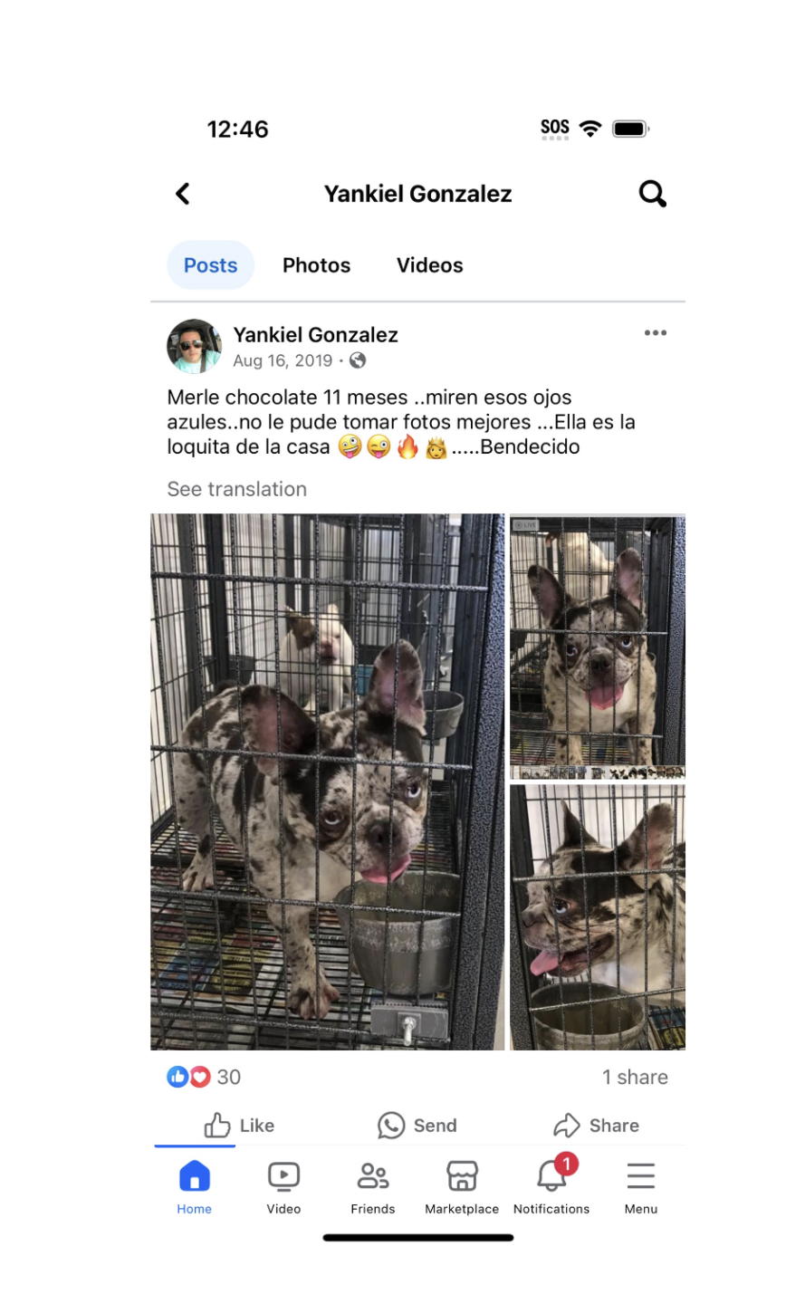 Screenshot 2024-07-02 at 5.25.27 PM.png