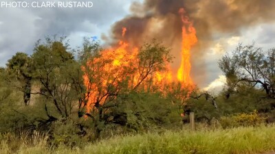 Flames burn palm trees at Agua Caliente Park in Tucson following a lightning strike on Wednesday, Sept. 28.