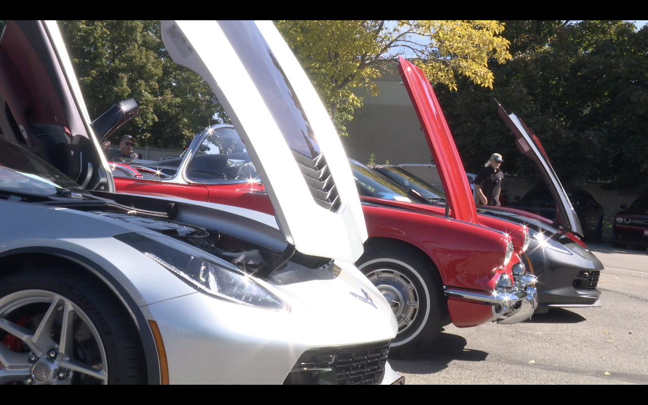 Blue Ribbon Rally Cars