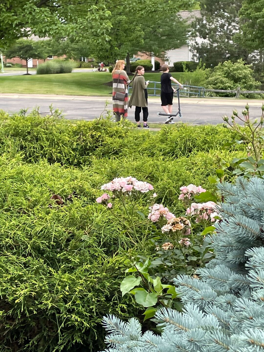 Image from iOS (520).jpg