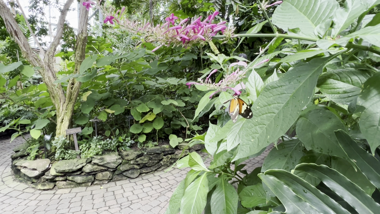 Frederik Meijer Gardens and Sculpture Park_2.png