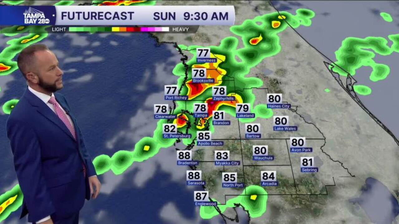 8.2 am forecast
