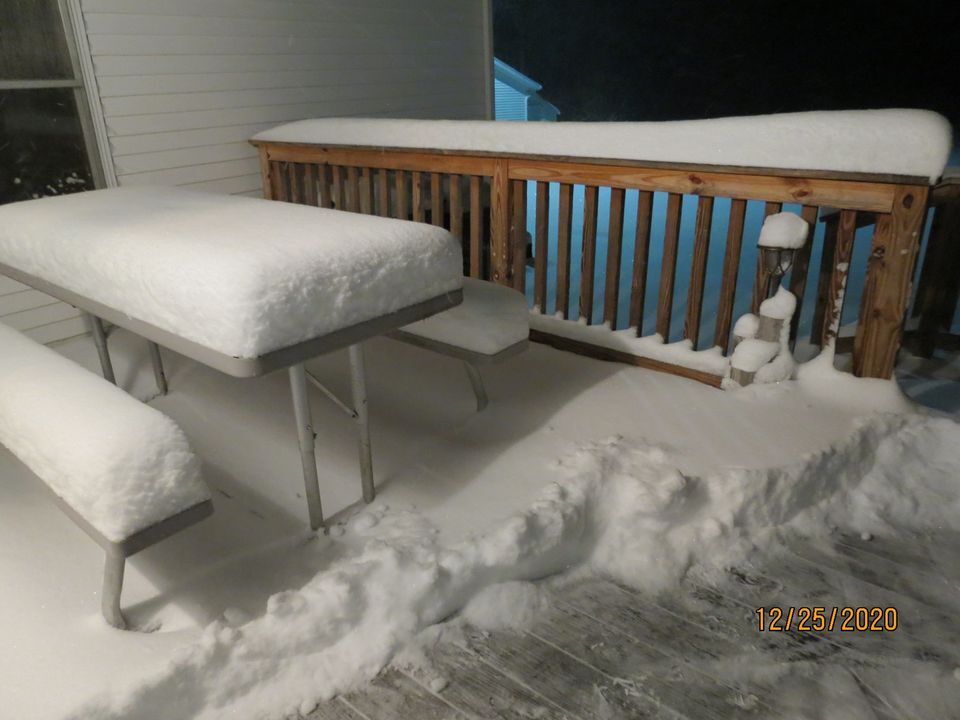 Michelle J Baker Hunkley Grafton.jpg