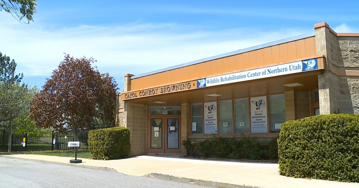 Wildlife rehabilitation center given extension to find new home - Vimarsana News