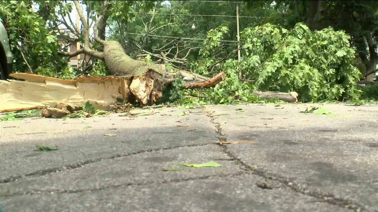 Poster image - 2021-08-11T173455.828.jpg