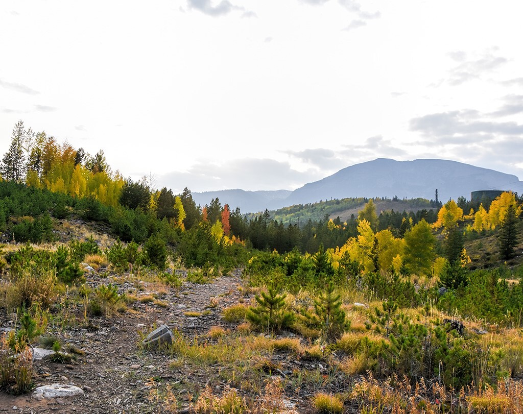 Aspen views Sept. 16 2020 from the Old Dillon Reservoir area between Lake Dillon and I-70