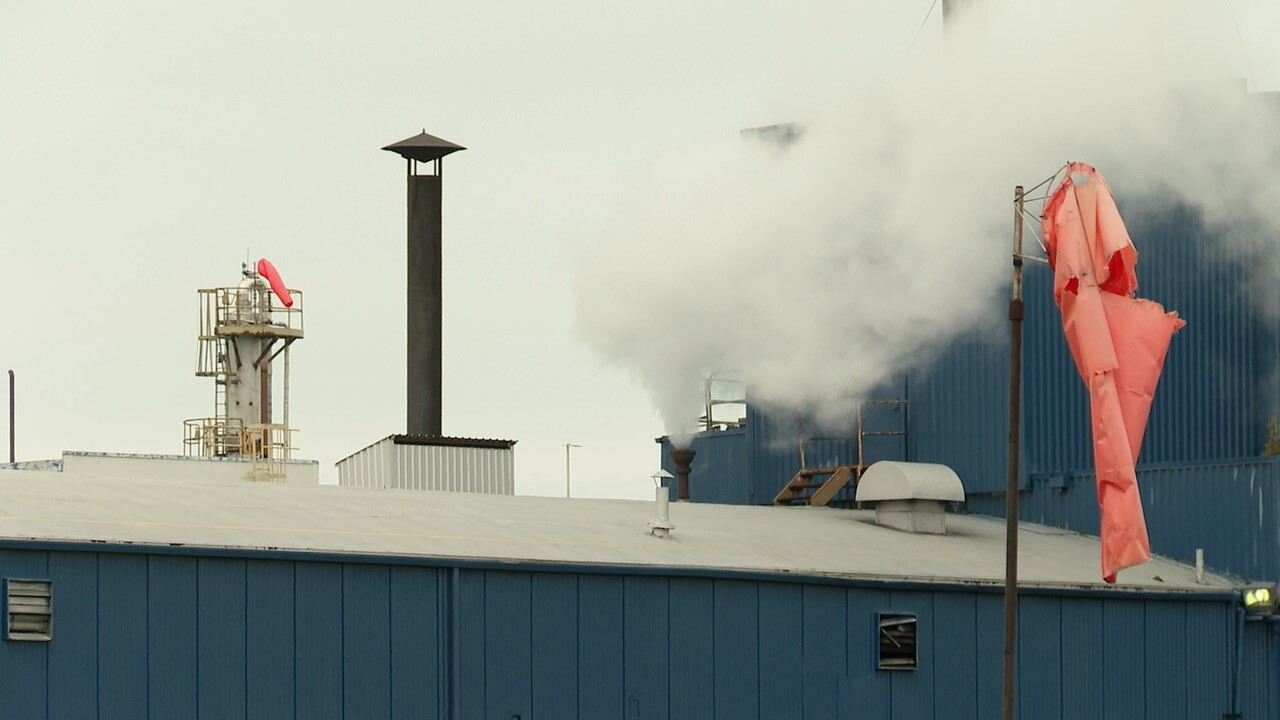 PLANT1.jpg