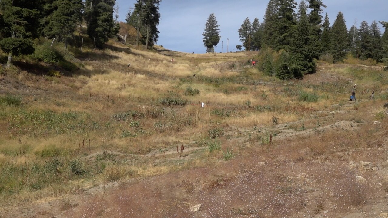 The venue at Bogus Basin