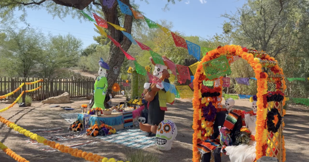 Boo at the Zoo returns with spooky fun and new activities