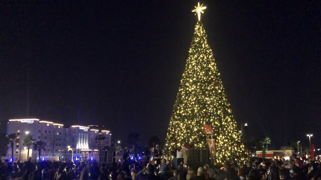 HEB Tree.png
