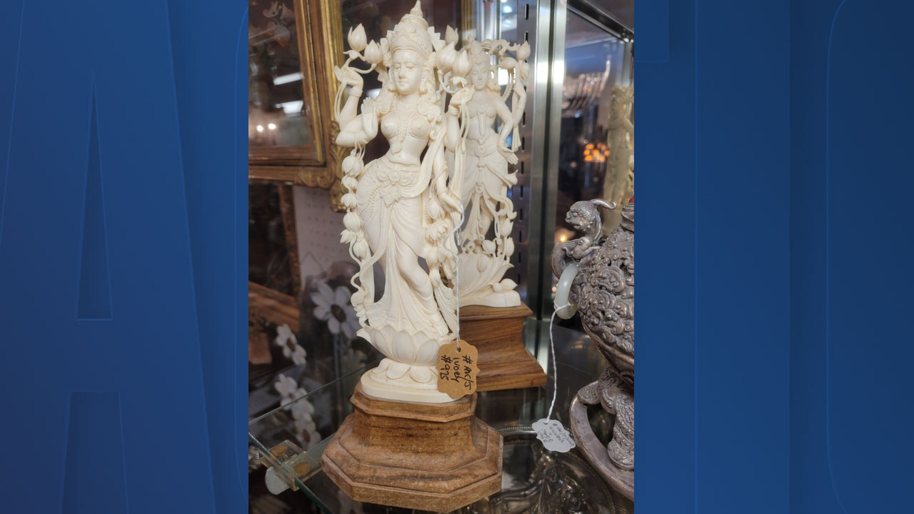 Florida ivory trade