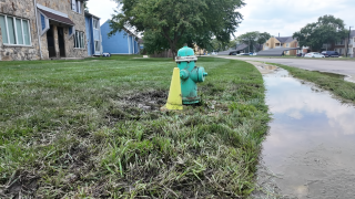 HydrantWide.png