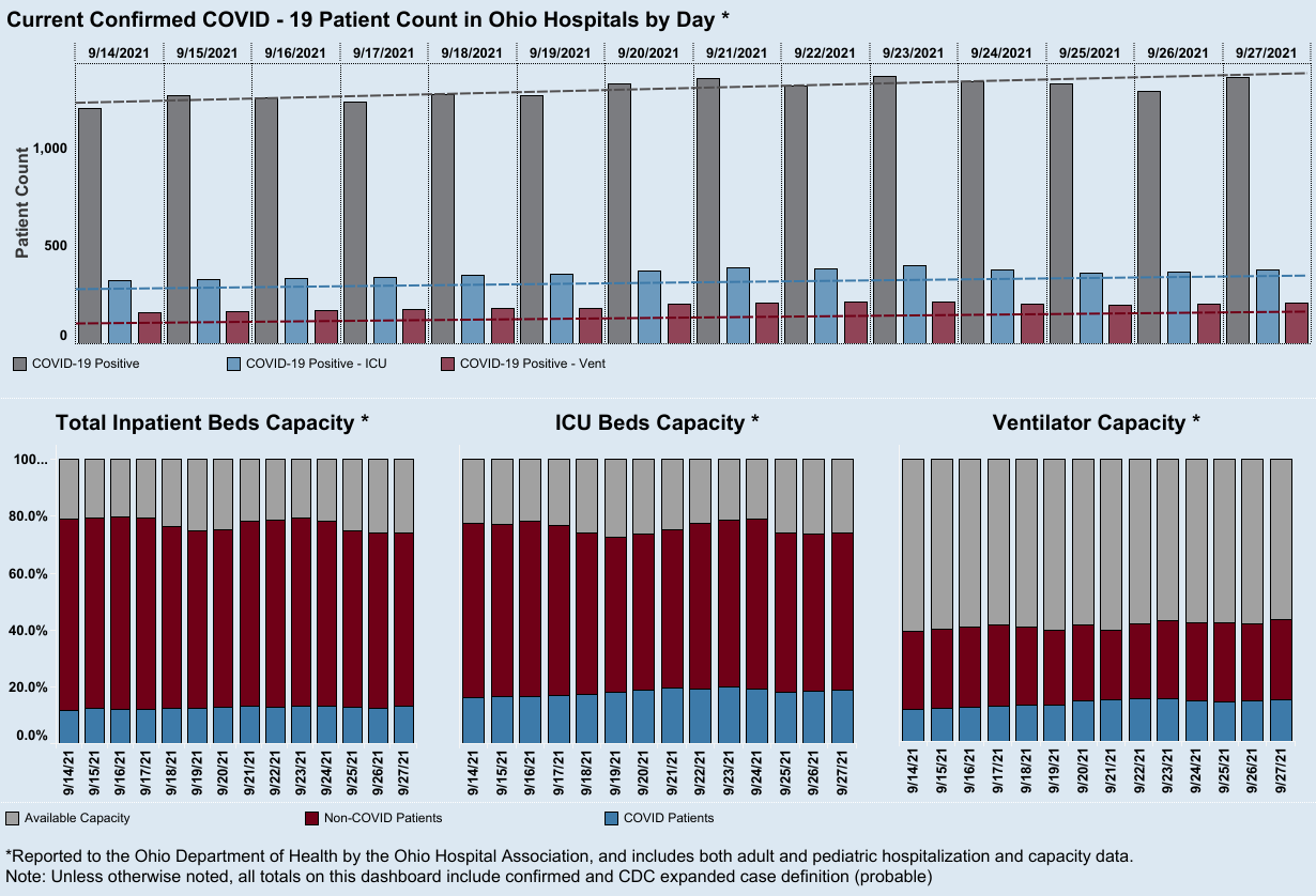 Dashboard_ Hospitalization Overview (9).png