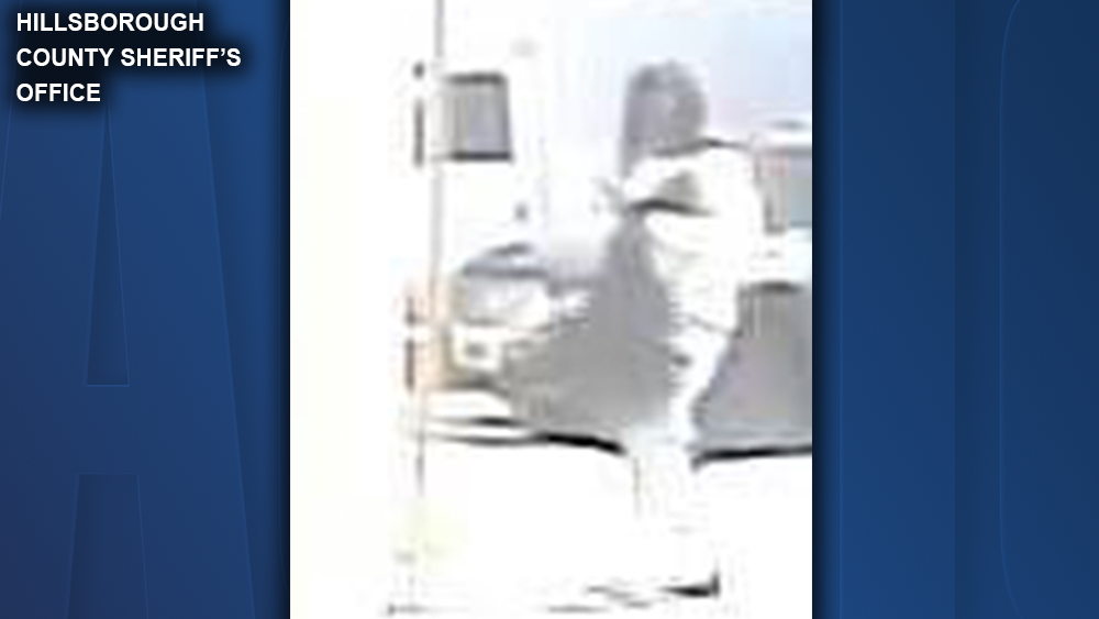 HCSO-SUSPECT-BRANDON-GTE-001.png