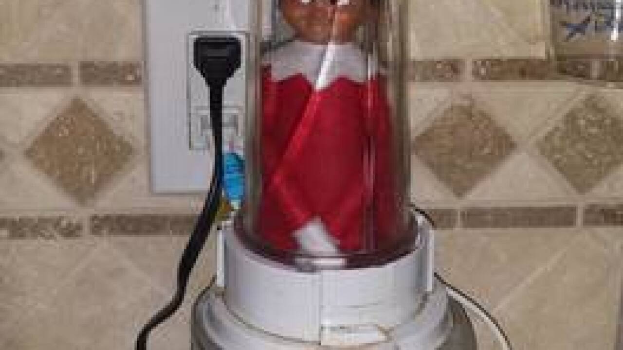 2016 Elf on the Shelf Photos & Ideas
