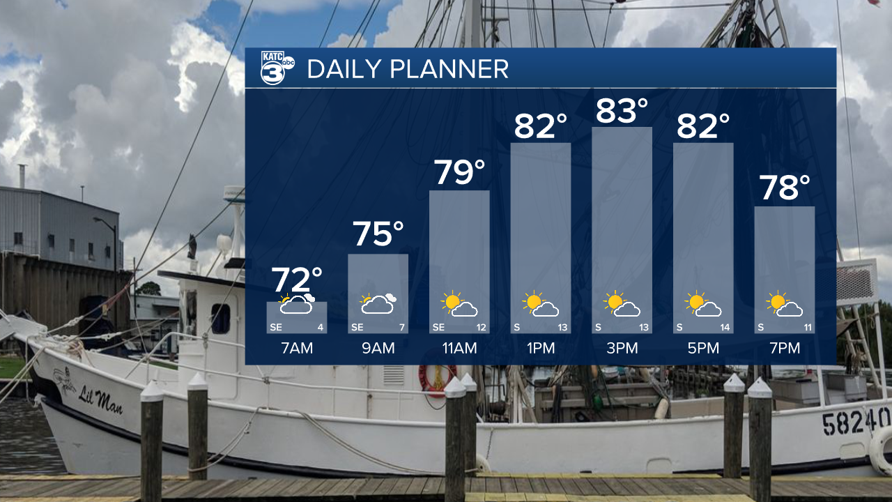 Daniel Day Planner.png