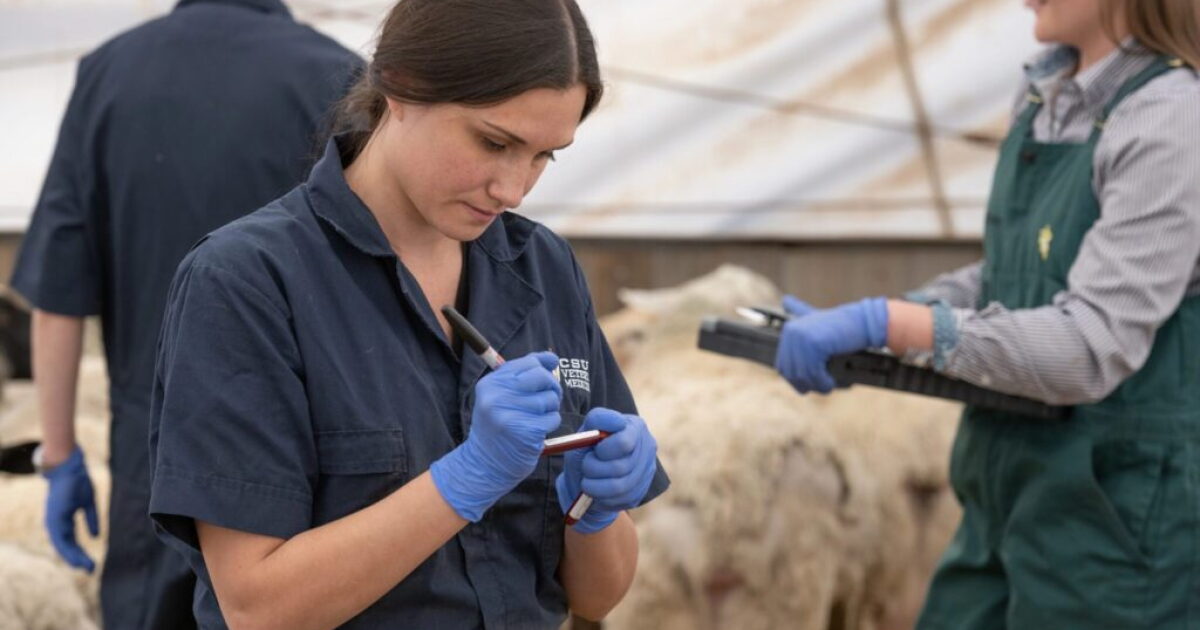 Colorado expands veterinary student debt relief program - Vimarsana News