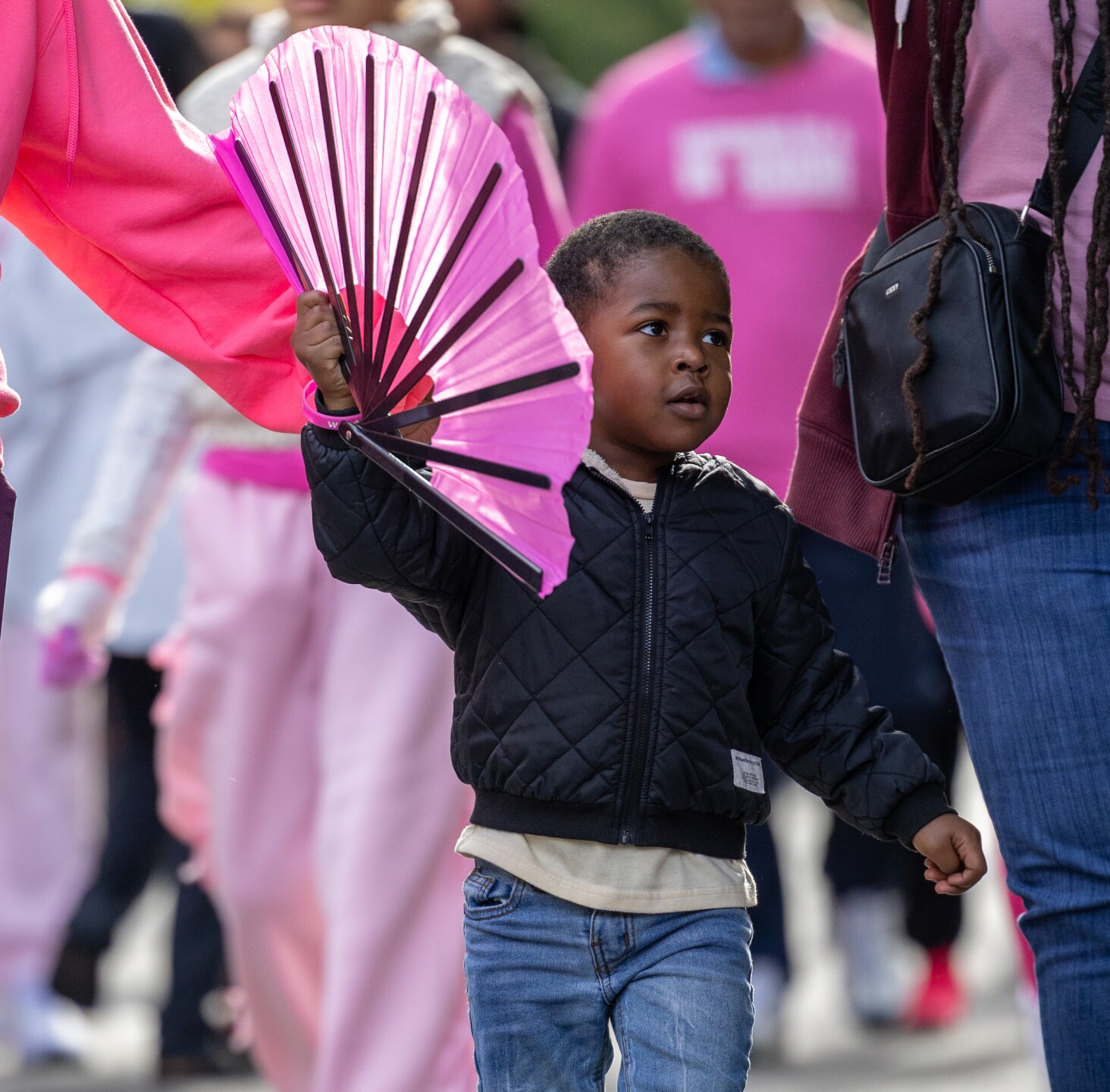 Making Strides Against Breast Cancer Walk 