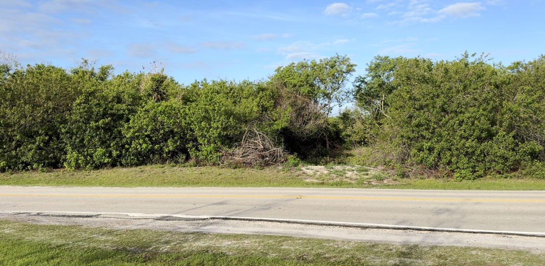 Screenshot 2026-04-28 at 3.46.29 AM.png