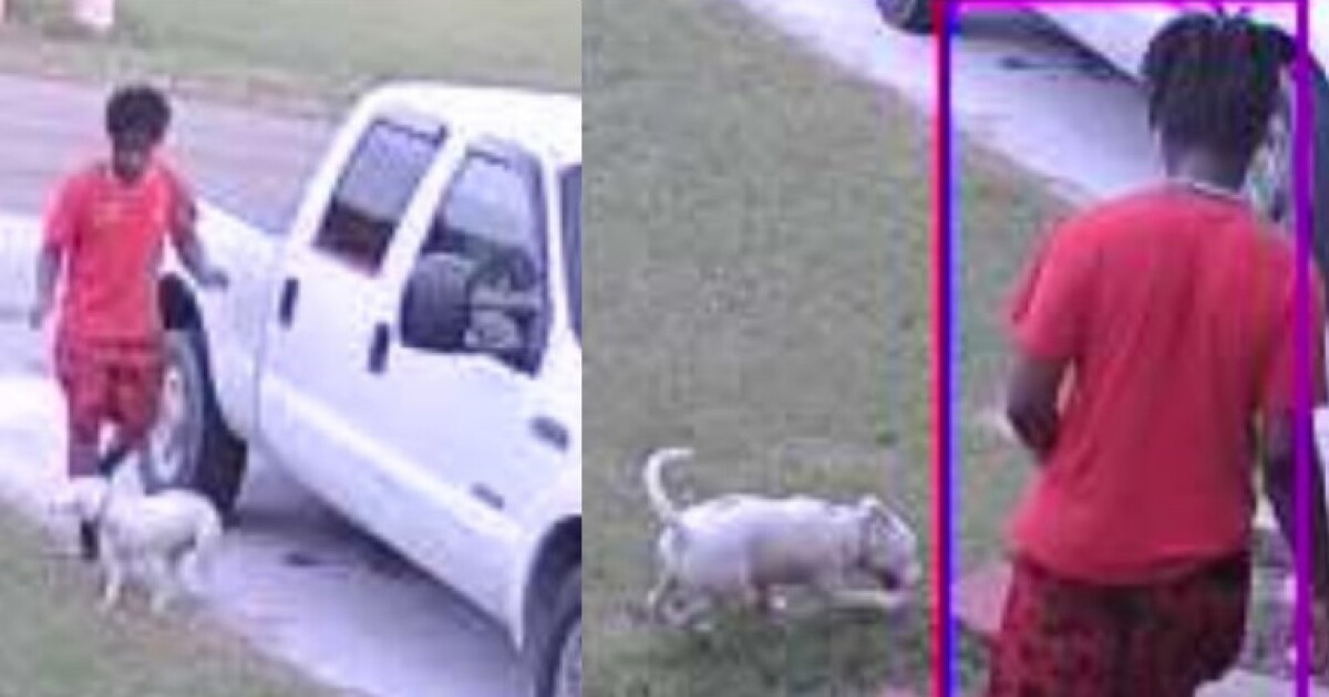 Scott Police need help to find stolen dog - Vimarsana News
