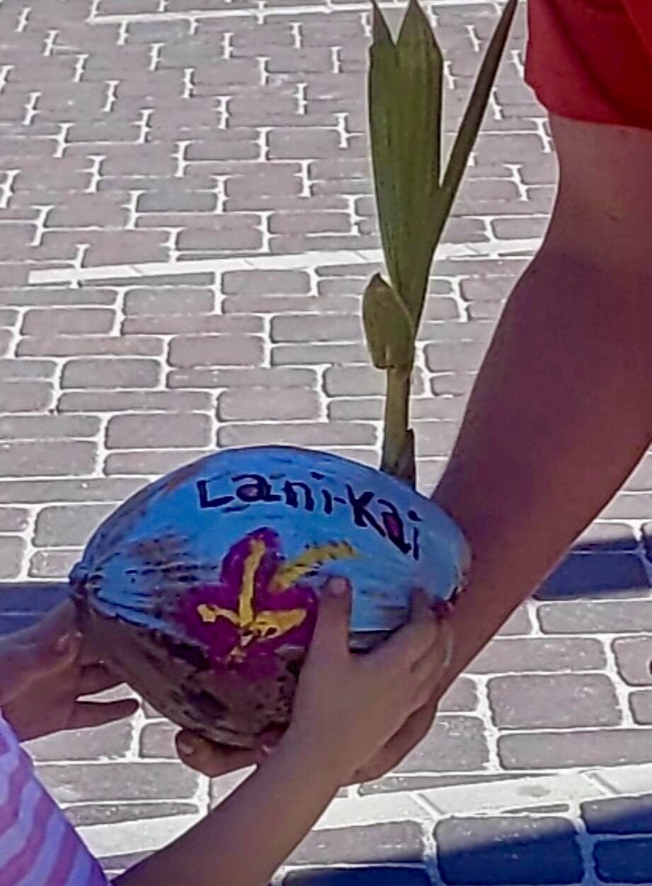 Lani Kai coconut.jpeg
