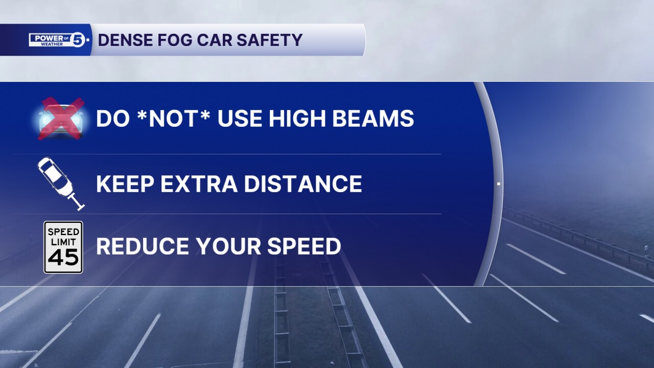 Car fog tips