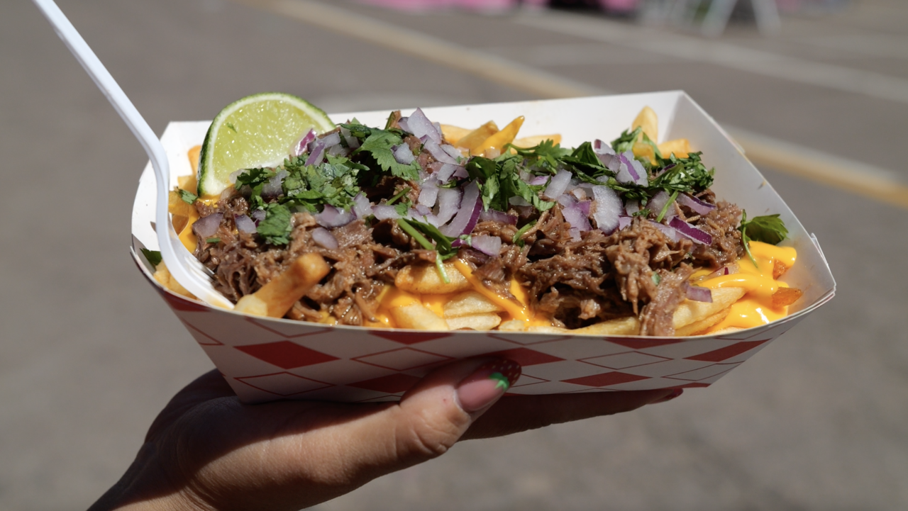 Loaded Birria Fries