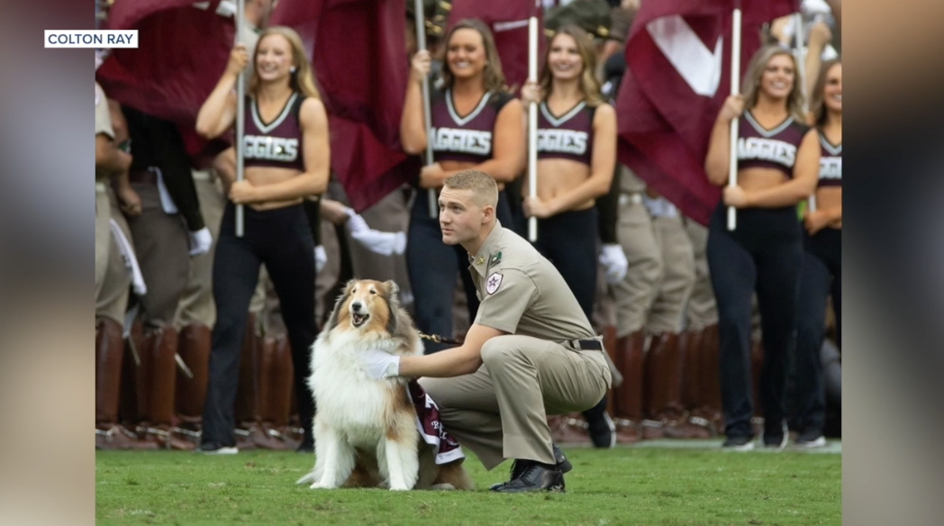 Texas A&M mourns Reveille IX, beloved 'First Lady of Aggieland'