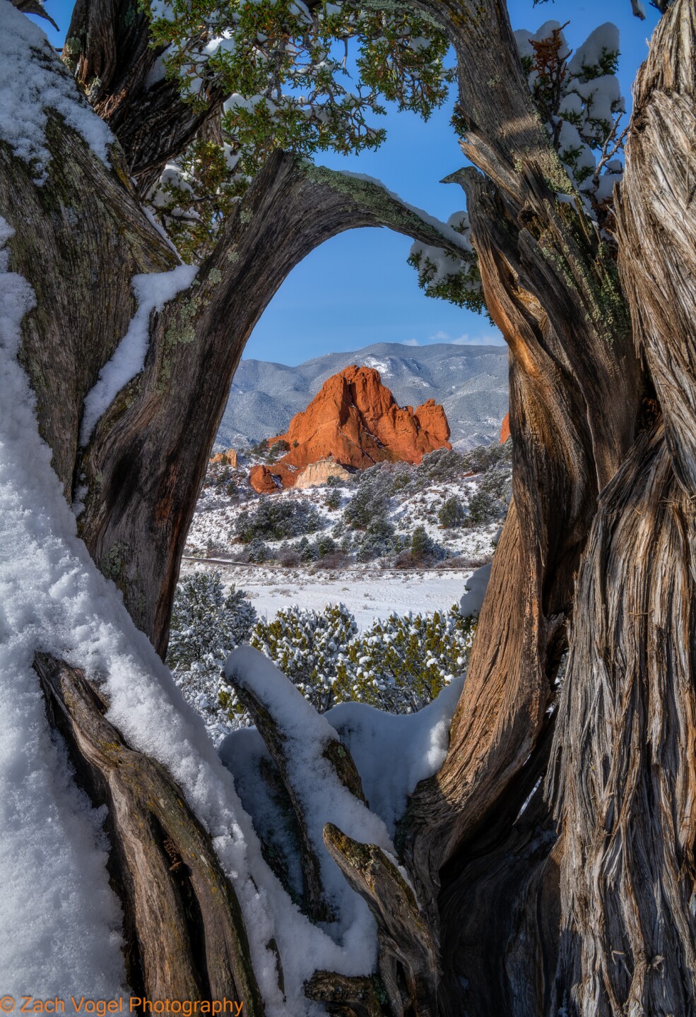 13 - Zach Vogel Photography - natures window.jpg